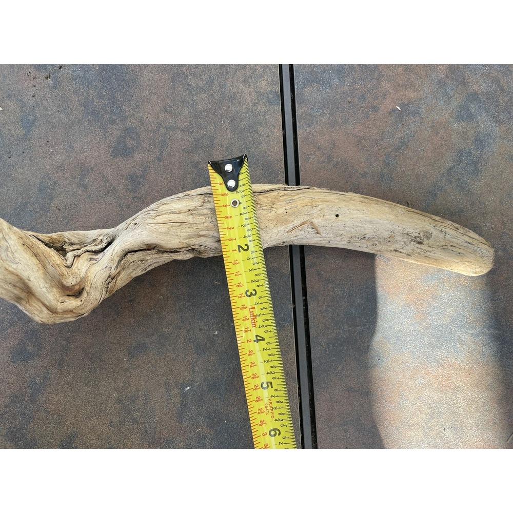 Natural Driftwood for Plants Terrarium Taxidermy Art Projects - Picture 5 of 5